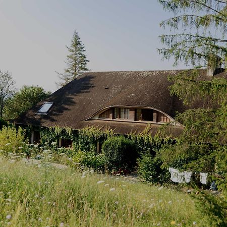 Bed and Breakfast Domaine Foray Villecien Exteriér fotografie